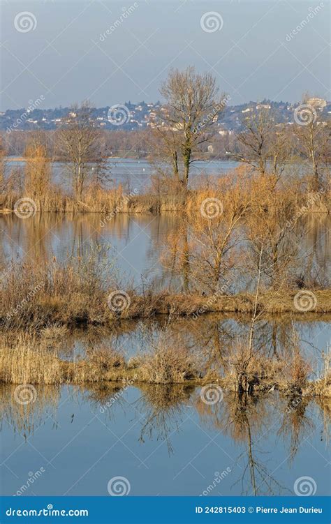 Grand Parc De Miribel Jonage An Urban Park Of Hectares On The