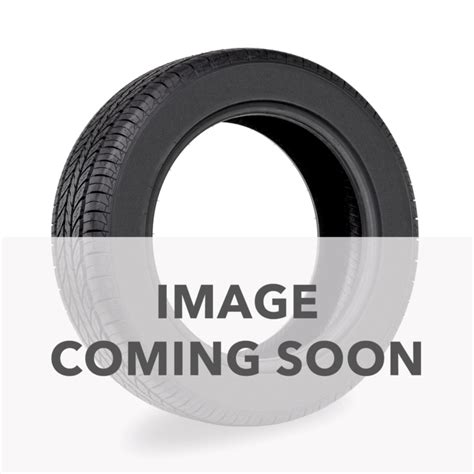 R Kormoran Cargo Speed Evo R Tyre X Tyres