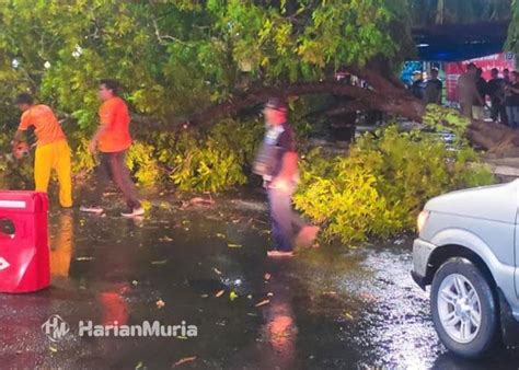 Hujan Angin Terjang Blora Puluhan Pohon Tumbang Sebabkan Kemacetan Di