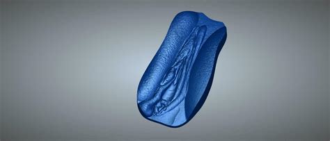 Datei Stl Cookie Mold Form For Professionals For Chocolate Or Cookies Scanned Pussy Vulva