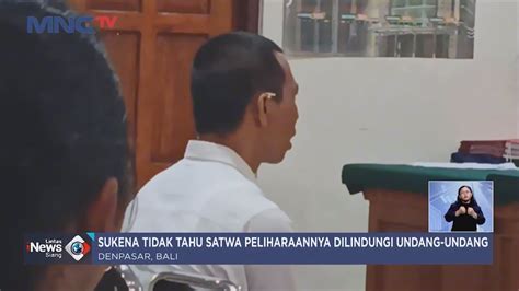 Isak Tangis Seorang Warga Bali Saat Diringkus Polisi Gegara Pelihara