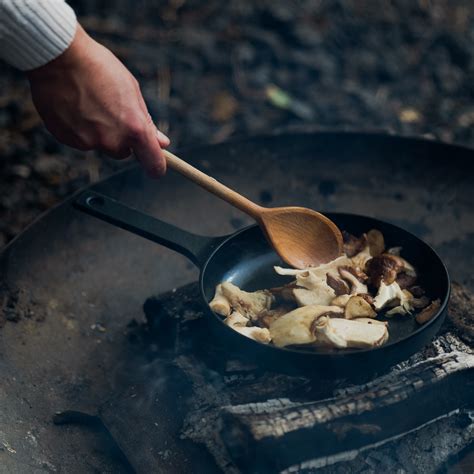 Understanding Umami: The Science and History of the Fifth Taste 24