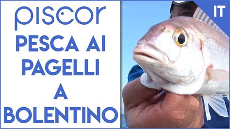 L Innesco Del Gamberetto Per La Pesca Dalla Barca Youtube