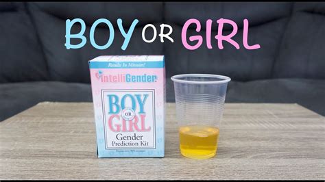 INTELLIGENDER GENDER PREDICTION KIT BOY OR GIRL YouTube