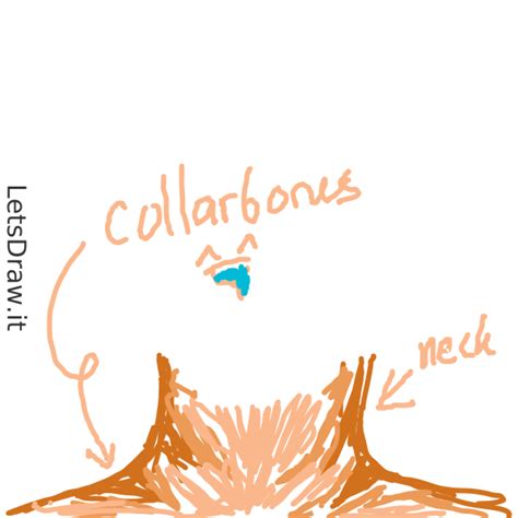 how to draw a neck