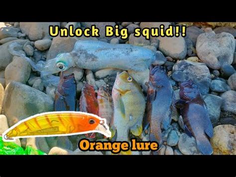 Unlock Big Squid Using Orange Lure Meron Pang Mamahaling Mga Isda