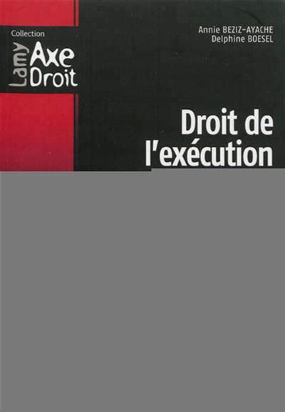 Droit De L Ex Cution De La Sanction P Nale E Dition Broch