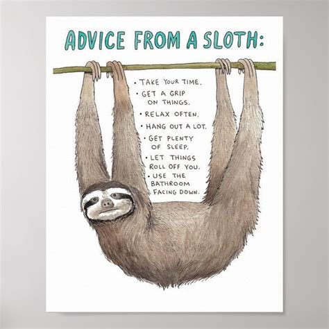 Advice From A Sloth Art Poster Zazzle Sloth Art Sloth Quote Funny Bathroom Art