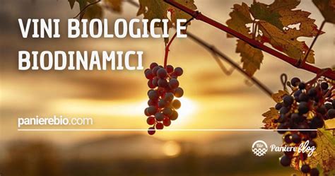 Vini Biologici E Biodinamici Blog PaniereBio