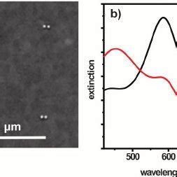 A Sem Image Of Auag Dimer Arrays Fabricated On The Itoglass