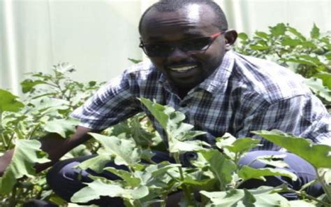 Prepare For Empty Shelves Without Youth In Agribusiness FarmKenya