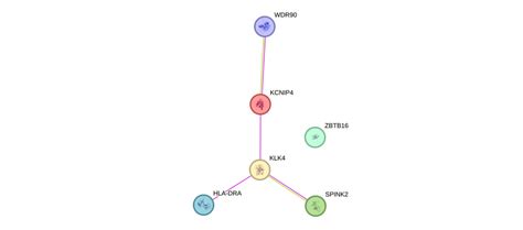 KLK4 Gene - GeneCards | KLK4 Protein | KLK4 Antibody