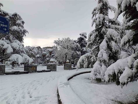 Meteoroloj Uyardi Samsuna Kar Gel Yor Samsun Da Kar Ya I Inin Hafta