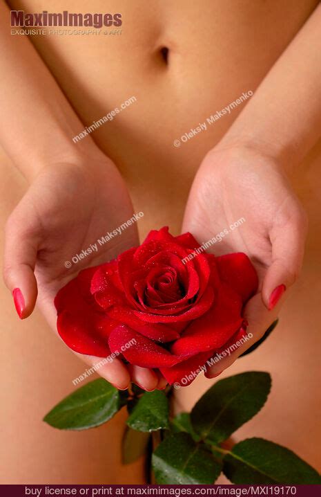 Nude Woman With Red Rose In Hands Stock Photo MXI