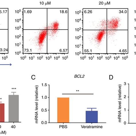 Veratramine Induces Hepg Cell Apoptosis In A Dose Dependent Manner