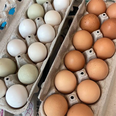 Sweets Meats And Easter Treats At Saratoga Farmers Market Shop