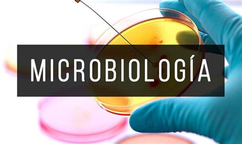 Los Mejores 5 Libros de Microbiología InfoLibros org