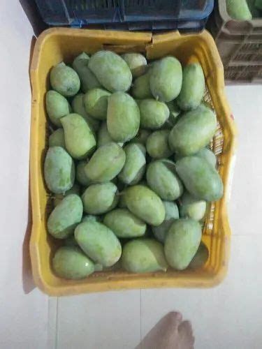 Green Natural Kesar Mango Box Packaging Size 10 Kg At Rs 100