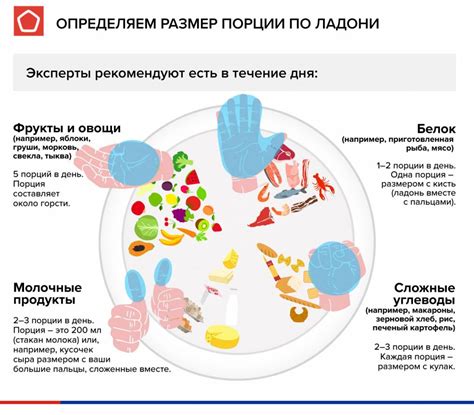 Как рассчитать размер порций при правильном питании? | Эксперты ...