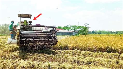 Combine Amazing Mini Agricultural Rice Harvesting Equipment Rice