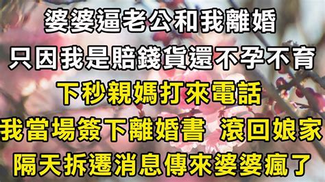 婆婆逼老公和我離婚，只因我是賠錢貨還不孕不育！下秒親媽打來拆遷電話！我當場簽下離婚書 滾回娘家！隔天拆遷消息傳來婆婆瘋了！翠花的秘密 翠花