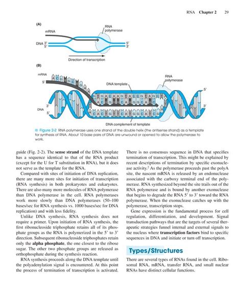 Molecular Diagnostics Fundamentals Methods And Clinical Applications Pdf