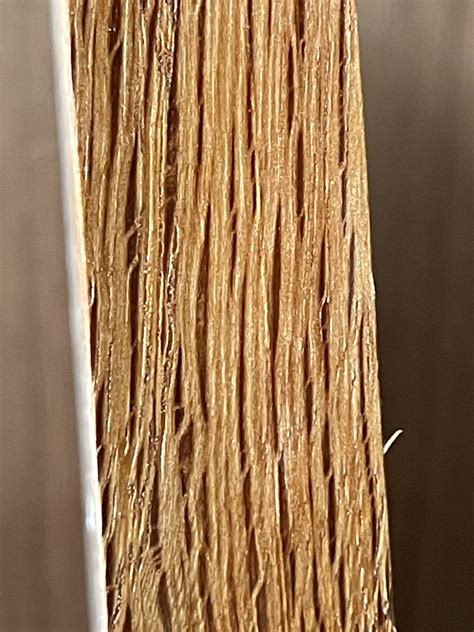 Chestnut Oak | The Wood Database (Hardwood)