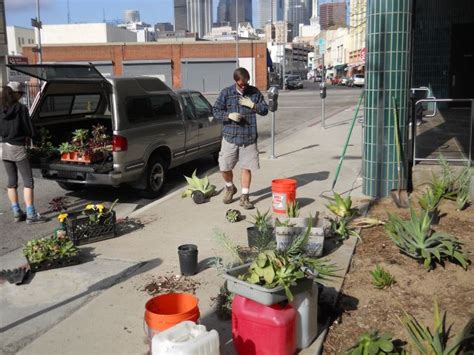 Guerrilla Garden 2 Planted Guerrilla Gardening Guerrilla Plants