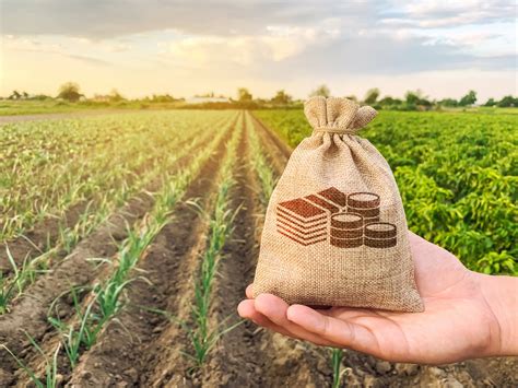 Compravendita Terreni Agricoli Le Imposte E L Agevolazione Piccola