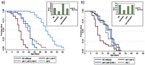 ADAR Mediated Decline In Lifespan Daf 2 Influence And Rde 1 Rescue