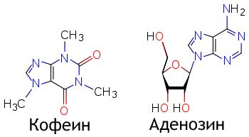 Аденозин