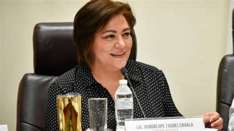 Guadalupe Taddei Zavala Ya Es Consejera Presidenta Del Ine Sergio Valle