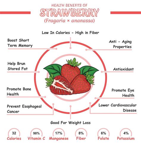 Health benefits of a strawberry 18892163 Vector Art at Vecteezy