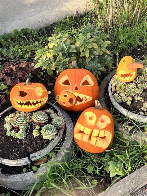 This year’s Pumpkin gang : r/pumpkincarving