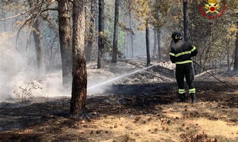 Camerino Vasto Incendio In Un Area Boschiva A Morro In Corso Le