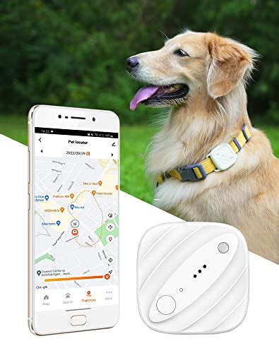 Top 10 Best Pet Tracker For Dogs Reviews And Buying Guide Katynel