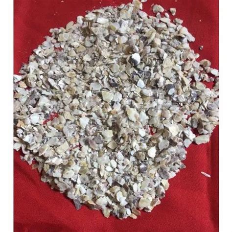 Flakes Oyster Shells Grit Packaging Type Plastic Bag Packaging Size 50 Kg At ₹ 9000ton In