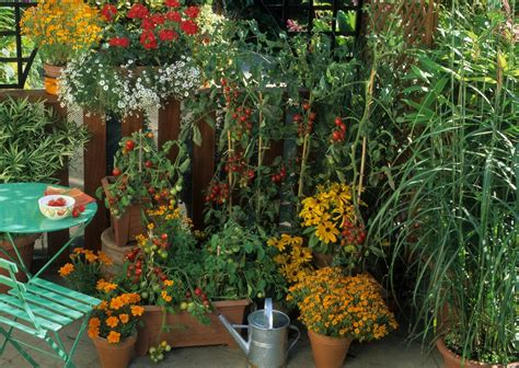 Que planter sur un balcon Idées inspiration PotagerBalcon