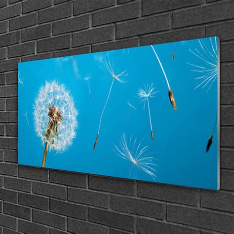 Brayden Studio Glasbild Floral Dandelion Wayfair De