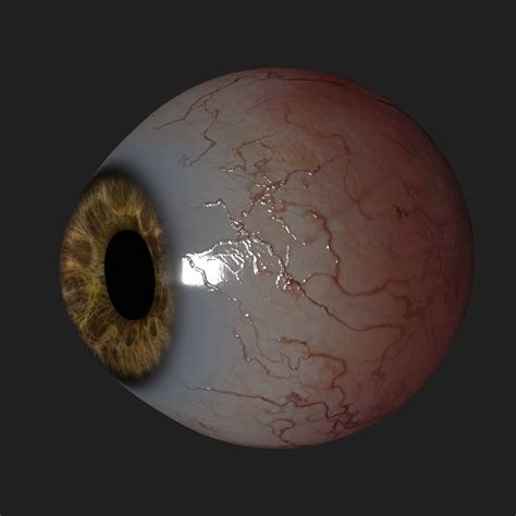 Human Eye Cgtrader