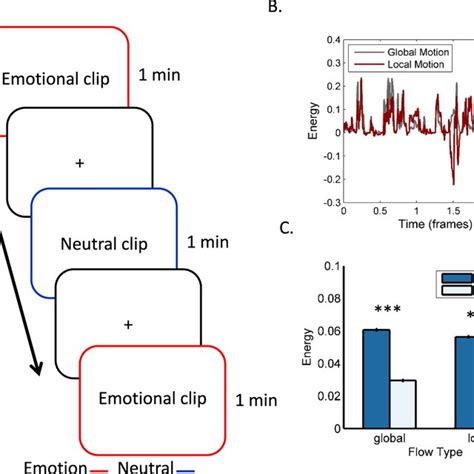 Experimental Design And Stimuli A Blood Oxygenation Level Dependent