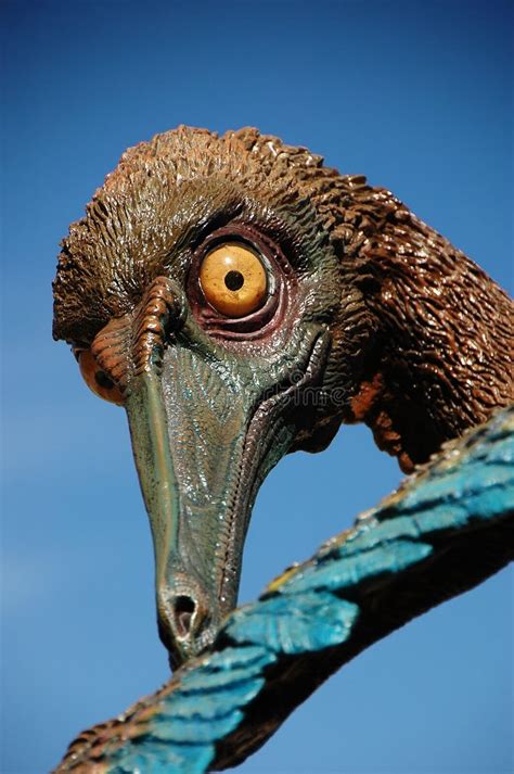 7,303 Scary Dinosaur Stock Photos - Free & Royalty-Free Stock Photos ...