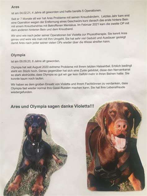 Referenzen Hunde Und Pferde Physiotherapie Und Osteopathie