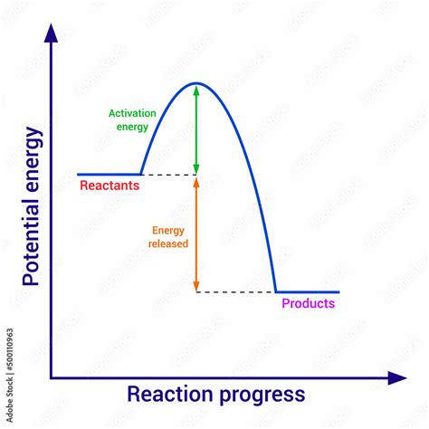 Exothermic Reaction Graph In Chemistry Stock Vector Adobe Stock