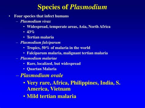 Ppt Phylum Apicomplexa Powerpoint Presentation Free Download Id1193653