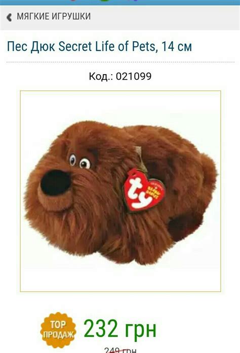 Мой пёс Дюк | Пикабу