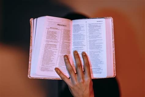 Significado De Encina En La Biblia Catolicodeapie