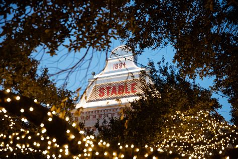 High-tech light shows will soon transform every stable hall performance 20