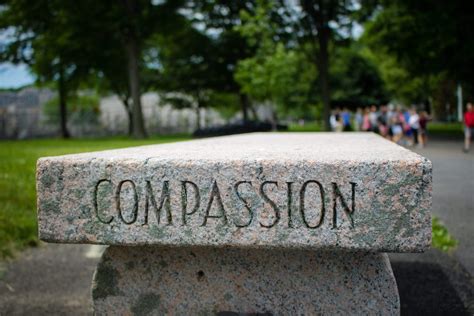 Cultivating A Culture Of Compassion