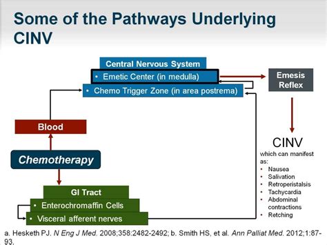 Ppt Prevention Of Chemotherapy Induced Nausea And Vomiting Powerpoint